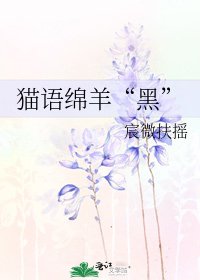 猫语绵羊“黑”